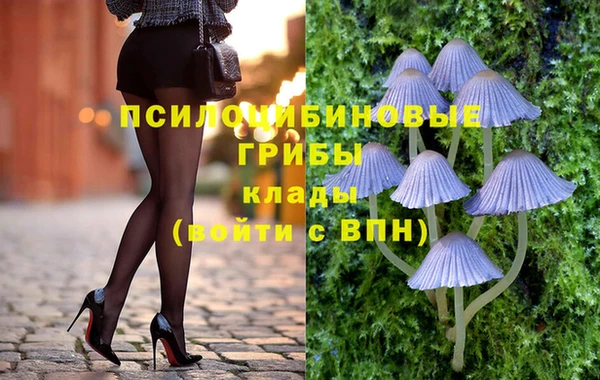 СК Абдулино