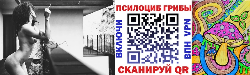 Галлюциногенные грибы Psilocybine cubensis магазин Шумерля